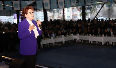 Meral Akşener’den Mansur Yavaş’a: Kurt kışı geçirir ama yediği ayazı asla unutmaz