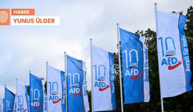 Faşist AfD oy kaybediyor: ‘Protestolar önemli bir etken’