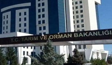 Gıda denetimleri yapılıyor: Bir şehirde at ve eşek eti tespit edildi