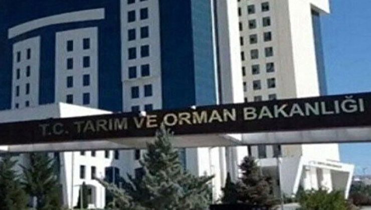 Gıda denetimleri yapılıyor: Bir şehirde at ve eşek eti tespit edildi