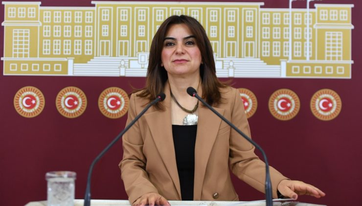 DEM Partili Koçyiğit: AKP’ye can suyu olacak bir tartışmaya mesafeliyiz