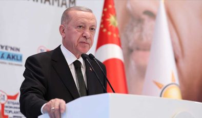 Erdoğan’dan yeni anayasa açıklaması: Bilek güreşine dönmesini istemiyoruz