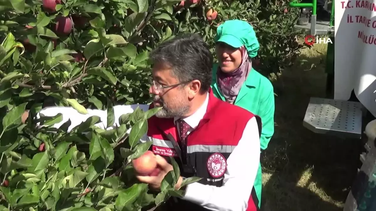 Bakan Yumaklı Karaman’da Elma Hasadı Yaptı