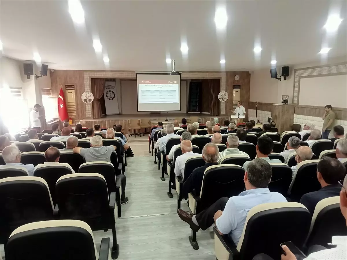 Kahverengi Kokarca Mücadelesi Terme’de Ele Alındı